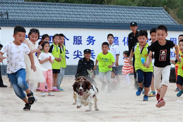 ̩���й�����    ��Ӣ    �����ǵĹ�ѫȮС��顷